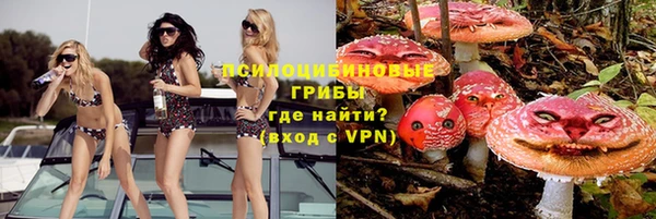 меф Медногорск