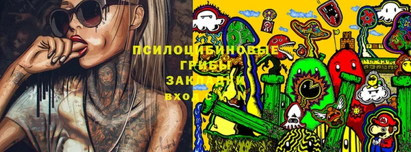 хмурый Михайлов