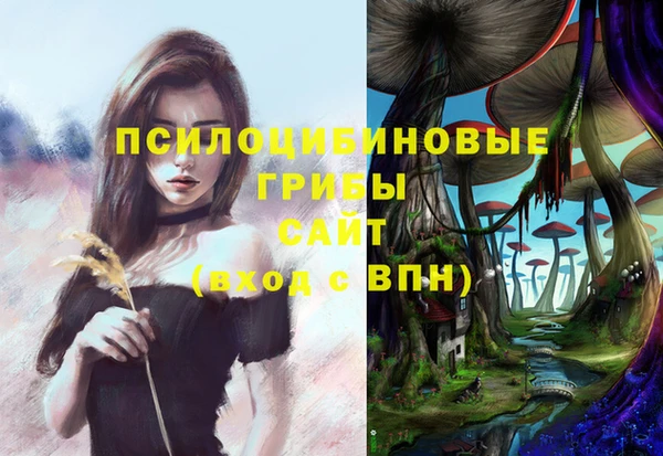 эйфоретик Михайловка