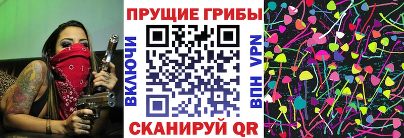 Псилоцибиновые грибы Magic Shrooms  Ставрополь 