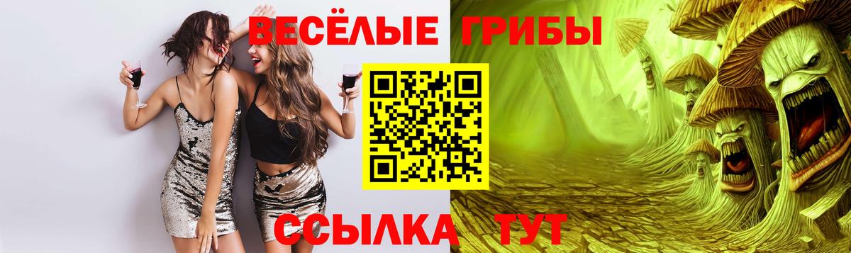 Галлюциногенные грибы Psilocybine cubensis Ставрополь
